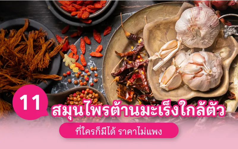 11 สมุนไพรต้านมะเร็งใกล้ตัวที่ใครก็มีได้ ราคาไม่แพง